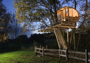Baumhaus mit Holzterrasse